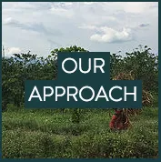 OUR APPROACH